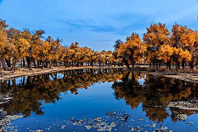 数毛社分析《星刃》试玩版 性能与帧率表现不错