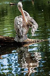 《最终幻想16》PC版今晚解锁 吉田呼吁不要制作冒犯性MOD